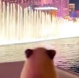 Amana Martin's avatar