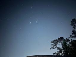 Isabella Merhi's avatar