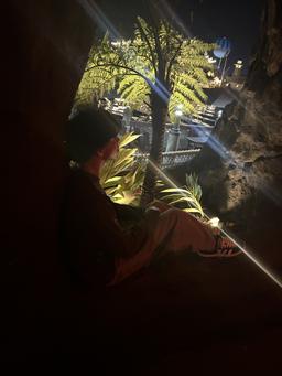 Ainesh Anumala's avatar